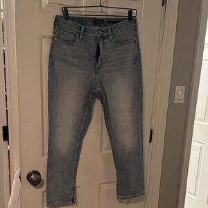 Banana Republic Premium Denim Jeans in Light Blue